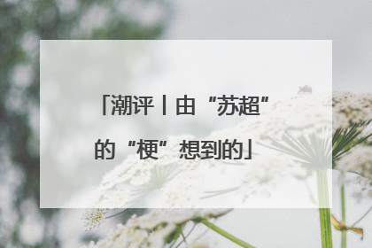 潮评丨由“苏超”的“梗”想到的
