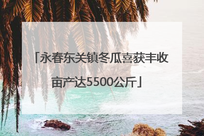 永春东关镇冬瓜喜获丰收 亩产达5500公斤