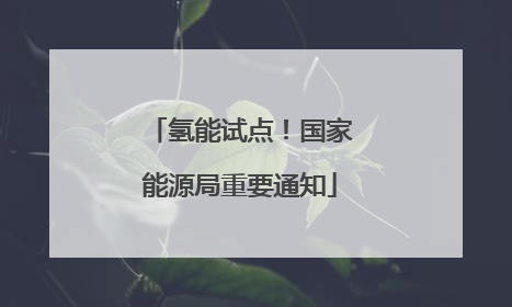 氢能试点！国家能源局重要通知