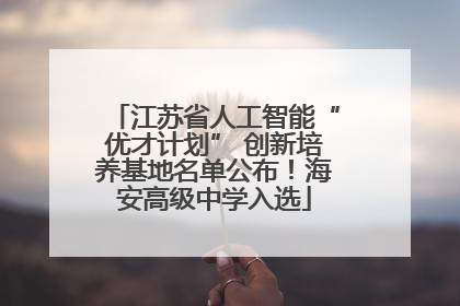 江苏省人工智能“优才计划” 创新培养基地名单公布！海安高级中学入选