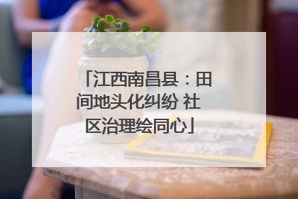 江西南昌县：田间地头化纠纷 社区治理绘同心