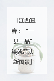江西宜春：“一县一品”绘就普法新图景