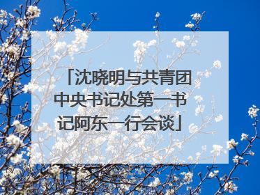 沈晓明与共青团中央书记处第一书记阿东一行会谈