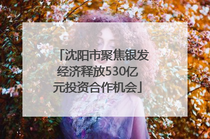 沈阳市聚焦银发经济释放530亿元投资合作机会