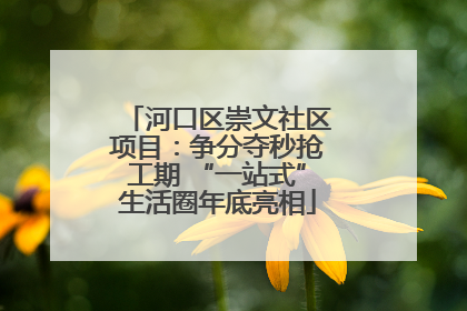 河口区崇文社区项目：争分夺秒抢工期 “一站式”生活圈年底亮相