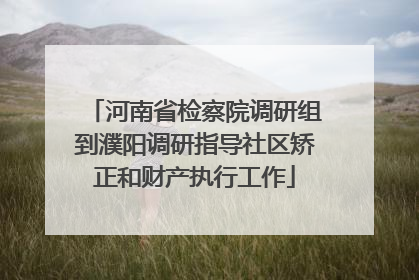 河南省检察院调研组到濮阳调研指导社区矫正和财产执行工作