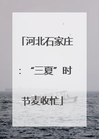 河北石家庄：“三夏”时节麦收忙