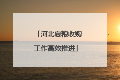 河北夏粮收购工作高效推进