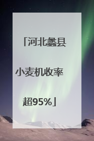 河北蠡县小麦机收率超95%