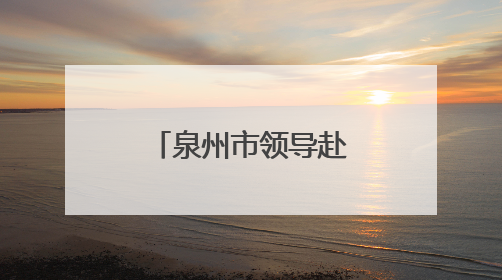 泉州市领导赴台商投资区调研重点招商项目