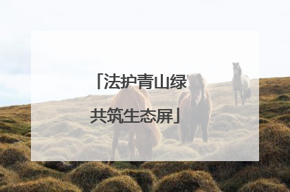 法护青山绿 共筑生态屏