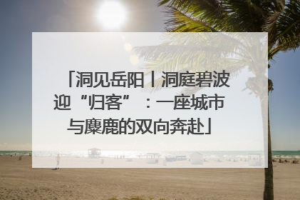 洞见岳阳丨洞庭碧波迎“归客”：一座城市与麋鹿的双向奔赴