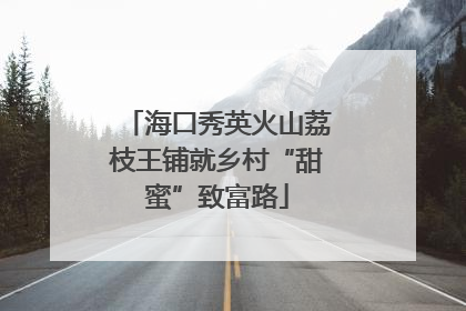 海口秀英火山荔枝王铺就乡村“甜蜜”致富路