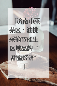 济南市莱芜区：油桃采摘节催生区域品牌“甜蜜经济”