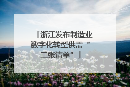 浙江发布制造业数字化转型供需“三张清单”