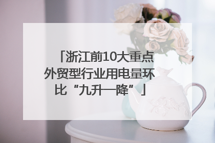 浙江前10大重点外贸型行业用电量环比“九升一降”