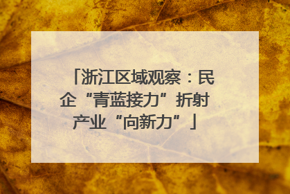 浙江区域观察：民企“青蓝接力”折射产业“向新力”