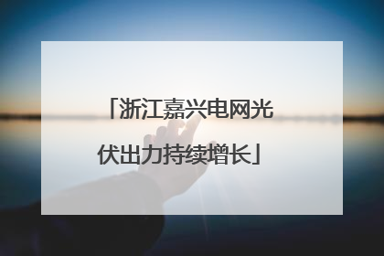 浙江嘉兴电网光伏出力持续增长