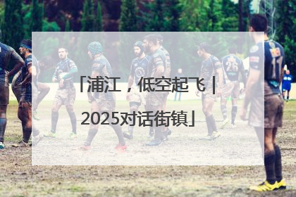 浦江，低空起飞｜2025对话街镇