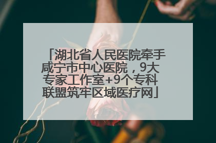 湖北省人民医院牵手咸宁市中心医院，9大专家工作室+9个专科联盟筑牢区域医疗网