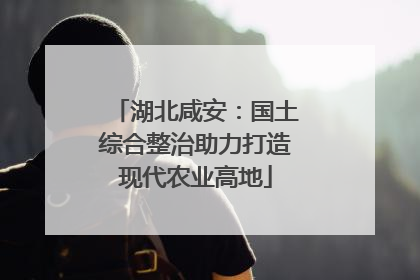 湖北咸安：国土综合整治助力打造现代农业高地