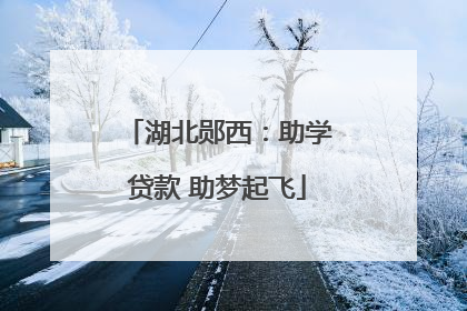 湖北郧西：助学贷款 助梦起飞