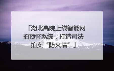湖北高院上线智能网拍预警系统，打造司法拍卖“防火墙”