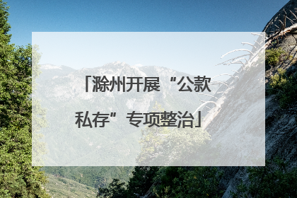 滁州开展“公款私存”专项整治
