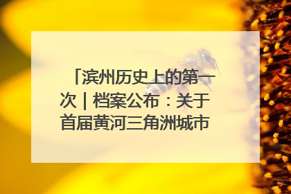 滨州历史上的第一次｜档案公布：关于首届黄河三角洲城市经济博览会暨发展论坛情况的总结报告