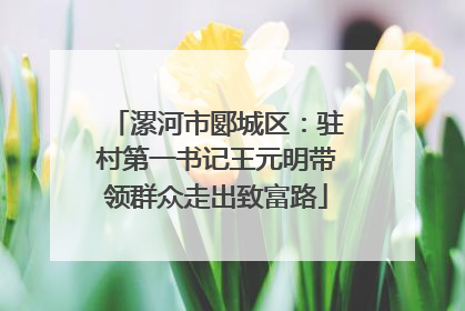 漯河市郾城区：驻村第一书记王元明带领群众走出致富路