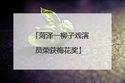 菏泽一柳子戏演员荣获梅花奖