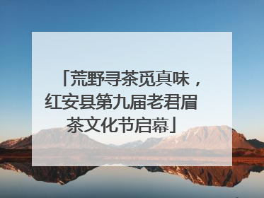 荒野寻茶觅真味，红安县第九届老君眉茶文化节启幕