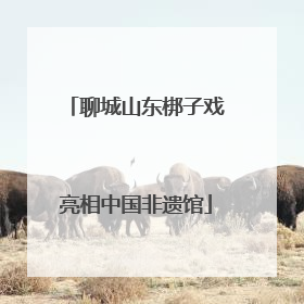 聊城山东梆子戏亮相中国非遗馆