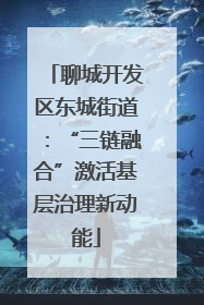 聊城开发区东城街道：“三链融合”激活基层治理新动能