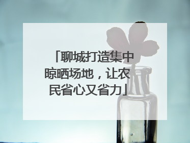 聊城打造集中晾晒场地，让农民省心又省力