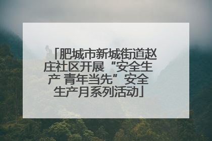 肥城市新城街道赵庄社区开展“安全生产 青年当先”安全生产月系列活动