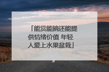 能赏能摘还能提供情绪价值 年轻人爱上水果盆栽