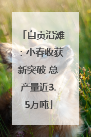 自贡沿滩：小春收获新突破 总产量近3.5万吨