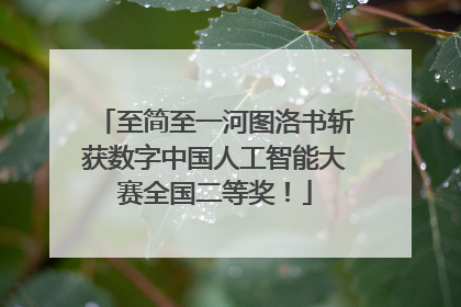 至简至一河图洛书斩获数字中国人工智能大赛全国二等奖！