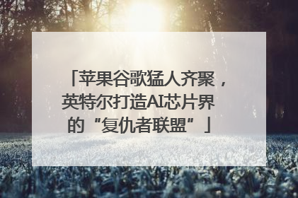 苹果谷歌猛人齐聚，英特尔打造AI芯片界的“复仇者联盟”