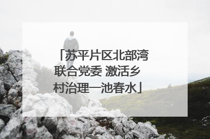 苏平片区北部湾联合党委 激活乡村治理一池春水