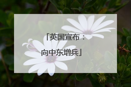 英国宣布：向中东增兵