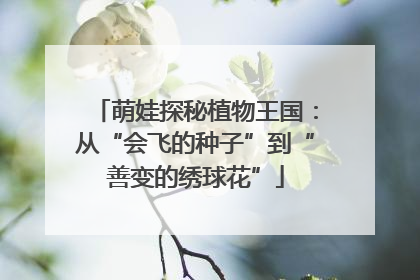 萌娃探秘植物王国：从“会飞的种子”到“善变的绣球花”