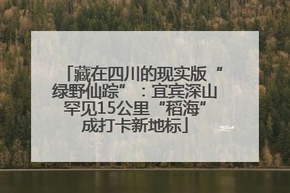 藏在四川的现实版“绿野仙踪”：宜宾深山罕见15公里“稻海”成打卡新地标