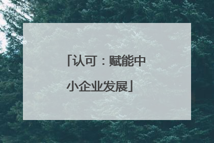 认可：赋能中小企业发展