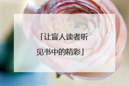 让盲人读者听见书中的精彩