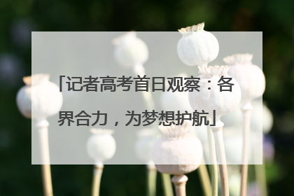 记者高考首日观察：各界合力，为梦想护航