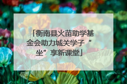 衡南县火苗助学基金会助力城关学子“坐”享新课堂