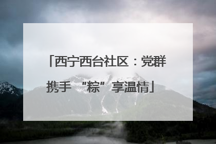 西宁西台社区：党群携手 “粽”享温情