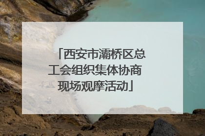 西安市灞桥区总工会组织集体协商现场观摩活动